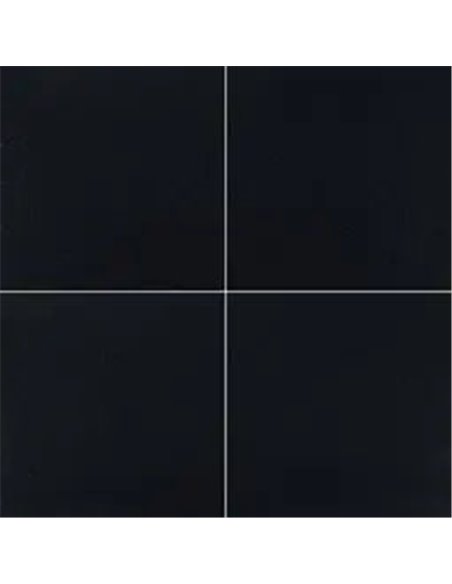 MSI Surfaces Premium Black 12X12 Polished 