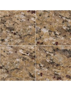 MSI Surfaces New Venetian Gold 18X18 Polished 