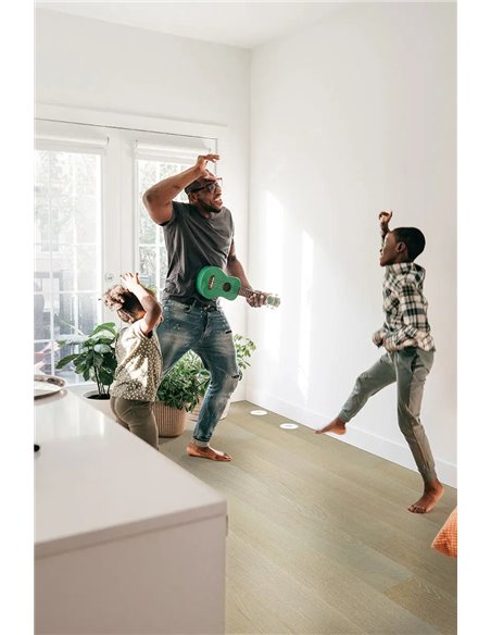 MSI Surfaces Woodhills Moorville Oak 