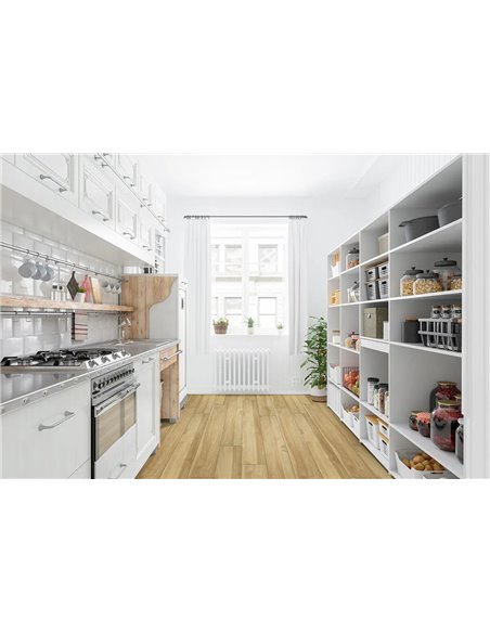 MSI Surfaces Xl Cyrus Brookline 9X60 