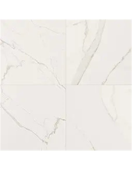 MSI Surfaces Kaya Calcatta Venato 24X24 Polished 