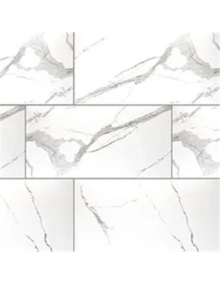 MSI Surfaces Eden Statuary 24X48 Matte 