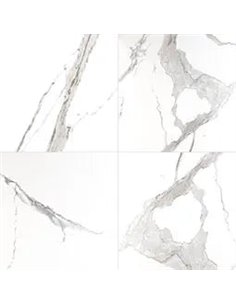 MSI Surfaces Eden Statuary 24X24 Polished 