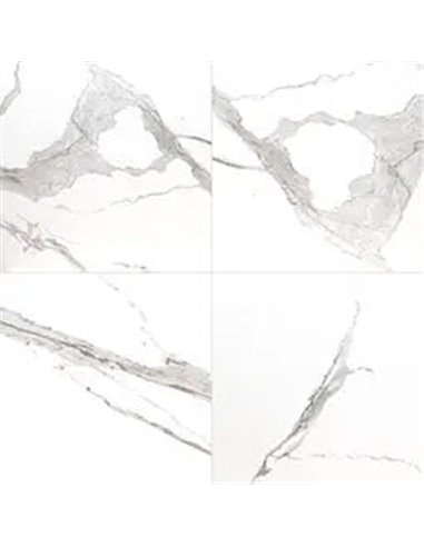 MSI Surfaces Eden Statuary 24X24 Matte 