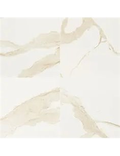 MSI Surfaces Eden Calcatta 32X32 Matte 