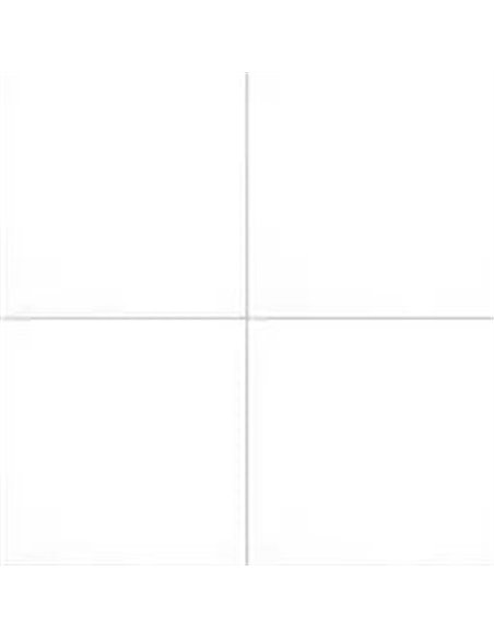 MSI Surfaces Domino White 24X24 Polished 