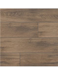 MSI Surfaces Balboa Amber 