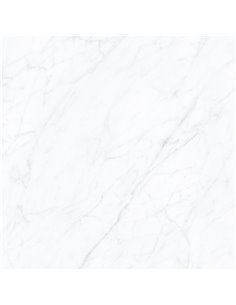 BM Carrara 24X24R Bianco Polished Box