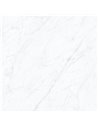 BM Carrara 24X24R Bianco Polished Box