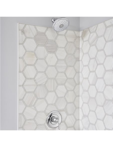 American Standard Delancey 1.8 gpm/6.8 L/min Shower Trim Kit With Water-Saving 4-Function Showerhead and Lever Handle