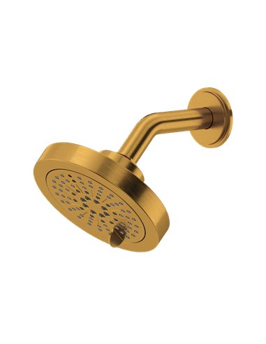 Riobel 386 5" 6-Function Showerhead with Arm