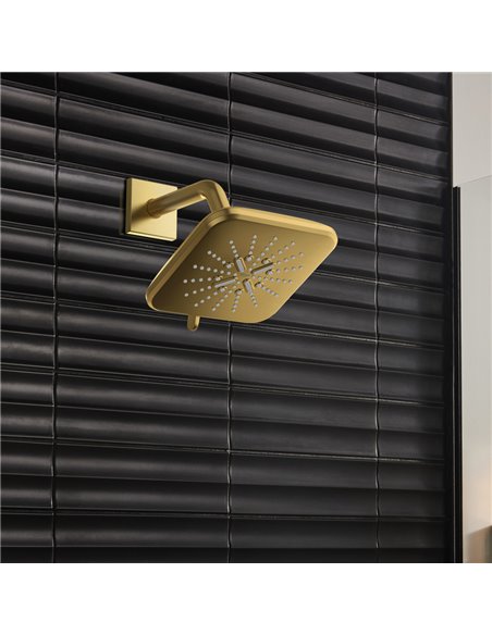 Grohe 26633 Relexa Shower Arm