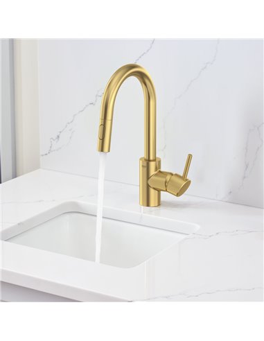 Grohe 31479 Concetto Ohm Prep Sink H.Sp.Ex.Spray Us