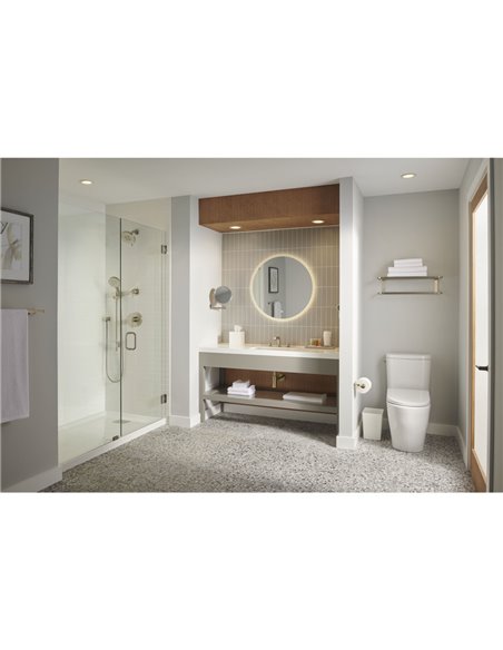 Grohe 26046 Tempesta 100 Hand Shower - 2 Sprays 6.6 L/min - 1.75 GPM