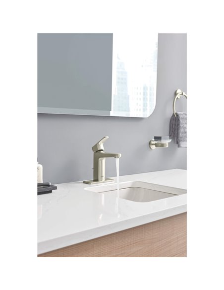 Grohe 40444 Essentials Soap Dish with Holder