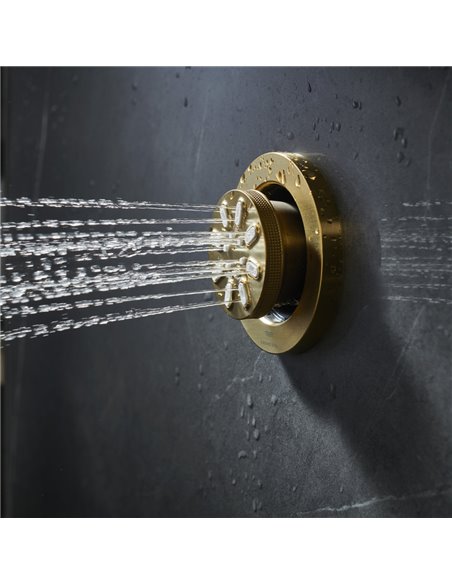 Grohe 26744 Rainshower Body Spray - 2 Sprays 0.9gpm