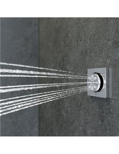 Grohe 26745 Rainshower Body Spray - 2 Sprays 0.9gpm