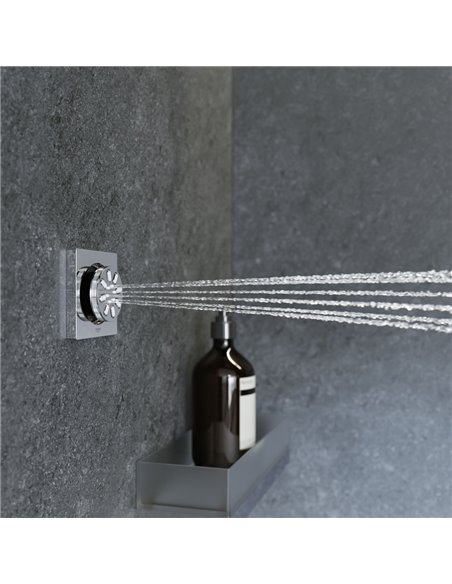 Grohe 26745 Rainshower Body Spray - 2 Sprays 0.9gpm