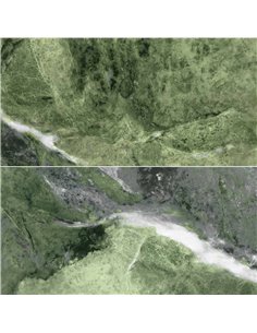 CE Amazona 24x48 Polished Jade