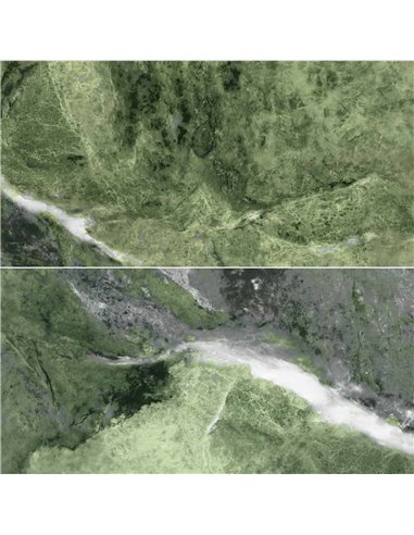 CE Amazona 24x48 Polished Jade