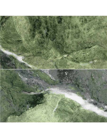 CE Amazona 24x48 Polished Jade