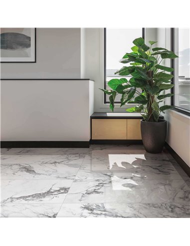 CE Capraia 24x48 Polished White