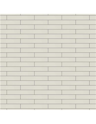 CE Essential 2x12 Matt Avorio