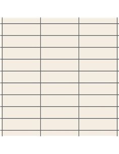 CE Essential 4x8 Glossy Avorio Flat