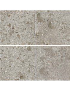 CE Fragmenta 24x48 Grigio Luminoso Matt 2