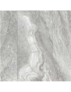 CE Galaxy 24x48 Polished Grey 2