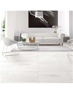 CE Gatsby 24x24 Polished Martini 2