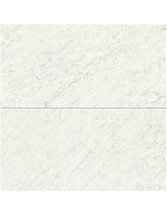 CE Marmi Classici 24x48 Bianco Carrara