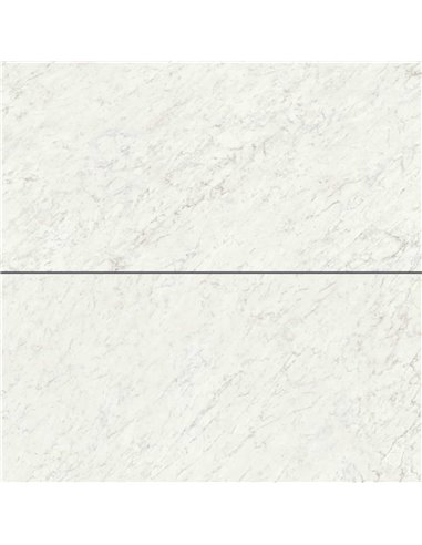 CE Marmi Classici 24x48 Bianco Carrara