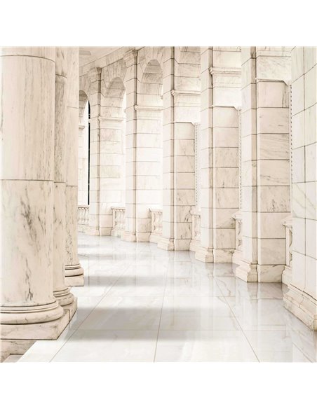 CE Marmi Classici 24x48 Onice Perlato