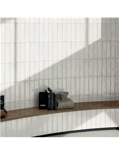 CE Multiforme 3x12 Glossy Talco