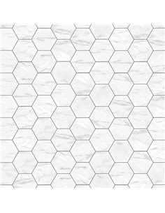 CE Neve 6" Hex Glossy Carrara