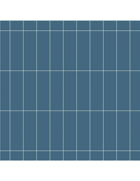 CE P21 4x12 Glossy Naval PC711