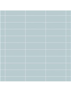 CE P21 4x12 Matt Lua PP647