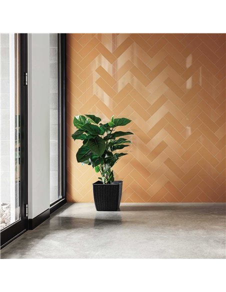 CE P21 4x12 Glossy Caril PC707