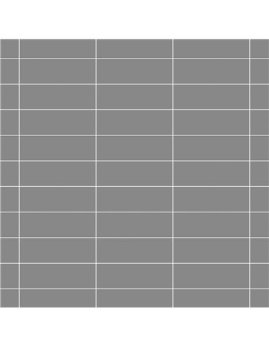 CE P21 4x12 Glossy Estanho PC572