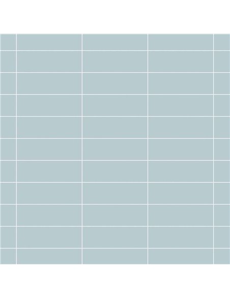 CE P21 4x12 Glossy Lua PC647