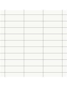 CE P21 4x12 Matt Cristal PP113