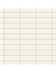 CE P21 4x12 Glossy Gelo PC574