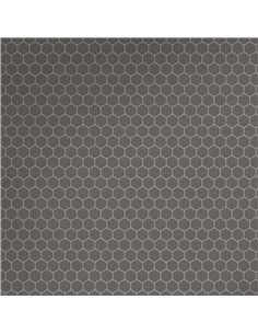 CE Precious Hex Grey