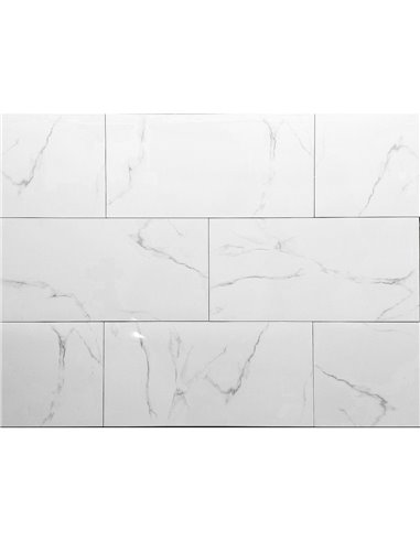 TR 12x24 Bianco Polished NEW - Box