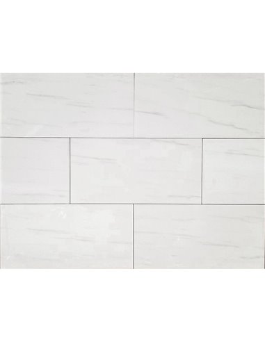 TR 12x24 North White Polished - Box