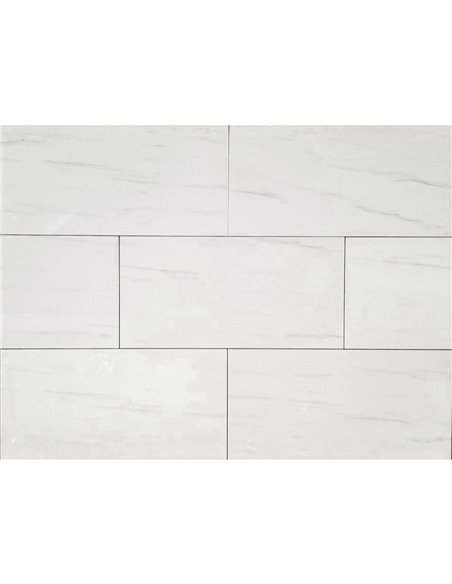 TR 12x24 North White Polished - Box