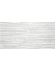 TR 24x24 Elora Grey Polished - Box