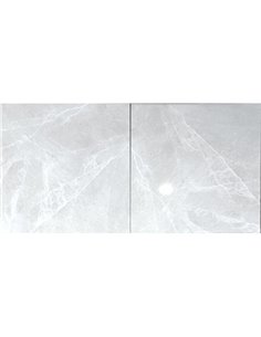 TR 24x24 Eclipse Taupe Polished - Box