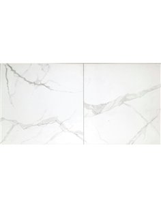 TR 24x24 Statuario Polished - Box